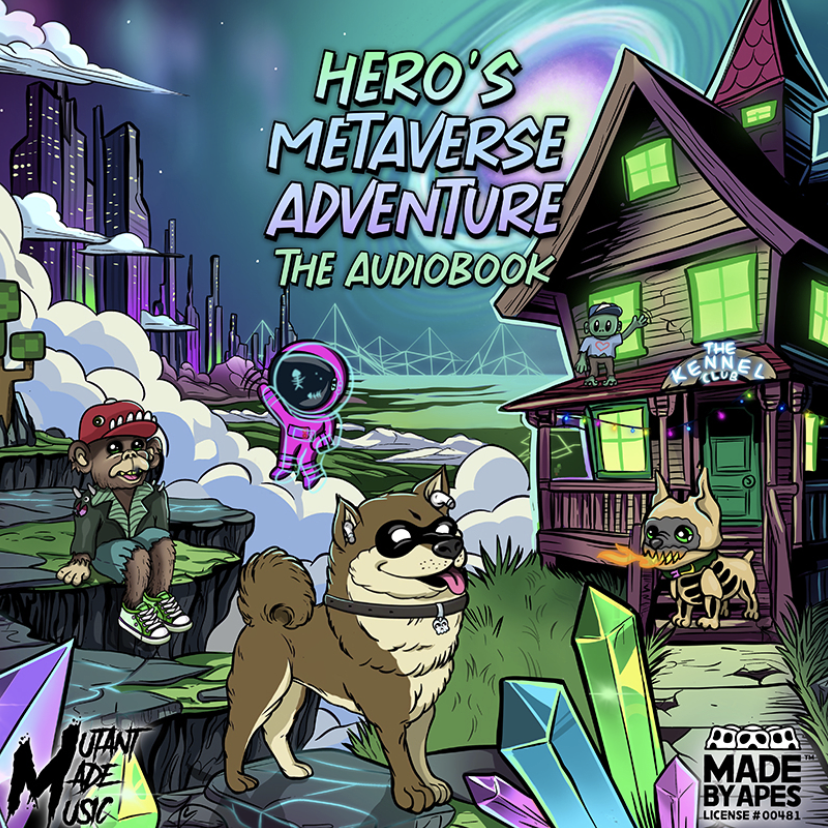 Hero's Metaverse Adventure audiobook cover